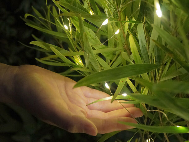 植物発電「botanical light(ボタニカルライト)」　
5月25日より世田谷区三宿ショールームで展示開始！- Net24ニュース