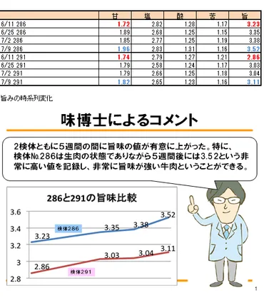 AISSY分析データ