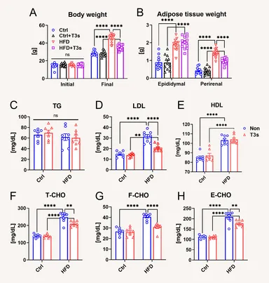 図. トコトリエノールによる体重増加の抑制、悪玉コレステロール数値の低下