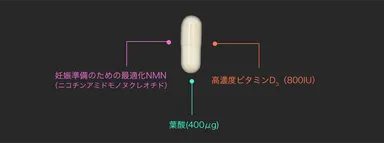 NMN(ニコチンアミドモノヌクレオチド)、高濃度ビタミンD3(800IU)、葉酸(400μg)