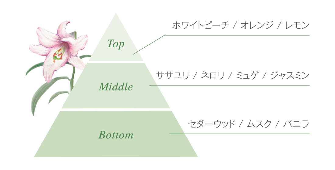 COTA  コタエイジング　グロウセラム　育毛剤　薬用ローション