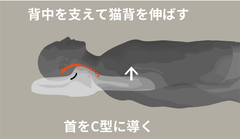 ゴッチョ背まくら　4