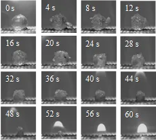 図2. エタノールを含有した高分子ゲルの燃焼の様子