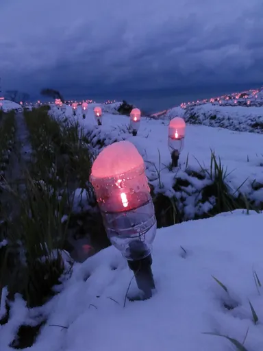 「ペットボタル」