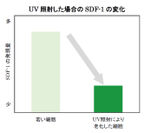 UV照射した場合のSDF-1の変化
