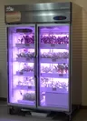 店産店消型植物工場栽培システム「LED菜園　ピッコロ」