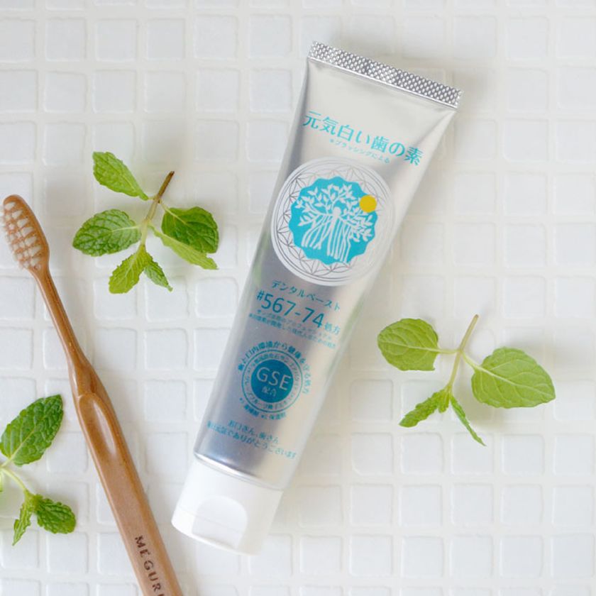 天然素材の組み合わせで健康的な口腔環境を実現 自然食品会社が独自開発した歯磨き粉 元気白い歯 の素 Gse練歯みがき を5 2新発売 プレマ株式会社のプレスリリース