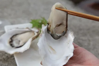 今が旬のこの味をぜひ生でお楽しみください