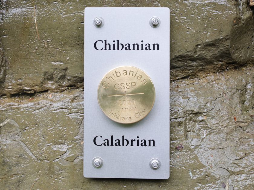 5月21日 チバニアンの地層に ゴールデンスパイク を設置し記念式典を開催 市役所などで展示用ゴールデンスパイクも公開 市原市役所のプレスリリース 5月21日 チバニアンの地層に ゴールデンスパイク を設置し記念式典を開催 市役所などで展示用ゴールデンスパイクも公開 市原市役所のプレスリリース