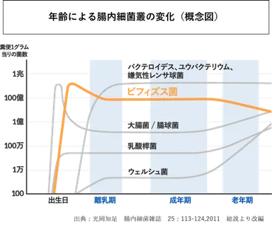 年齢による腸内細菌叢の変化(概念図)
