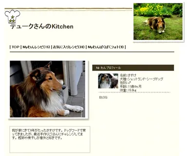 MyわんKitchen(シェフ帽子)