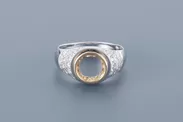 no.13 T RING