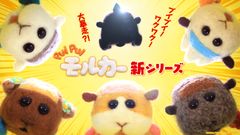 PUI PUI モルカー 新シリーズ　ティザービジュアル