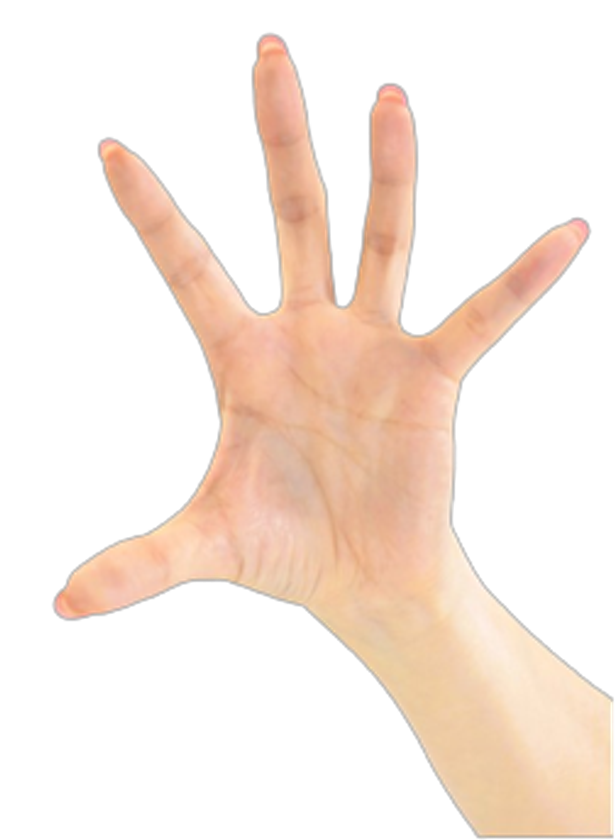 ウェーブストレッチリング考案者 牧直弘の最新刊　
千葉ロッテマリーンズの木村ピッチングコーチも推薦の
新刊書籍「不思議！薬指第一関節だけで変わる全身連動メソッド」
5月30日にBABジャパンより発売