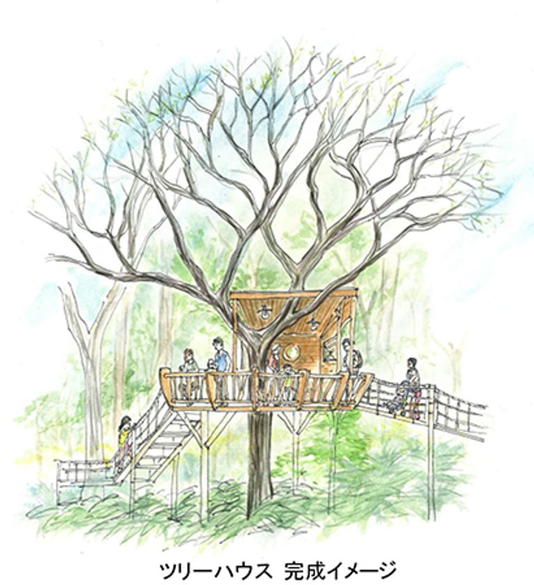 ROKKO森の音ミュージアム1周年記念
「ツリーハウス」誕生！
お披露目イベント、リニューアル1周年イベントも開催