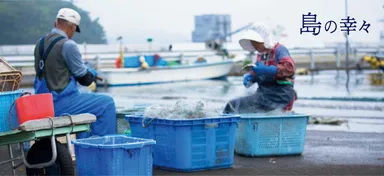 島の幸々