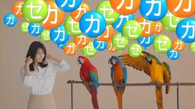 カカセ・オウム篇(2)