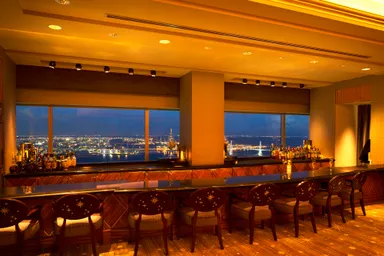 シリウスカウンター