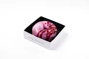 Galaxy Donut -Raspberry-