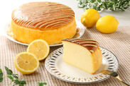通販新登場「レモンのチーズケーキ」
