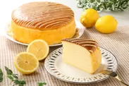 通販新登場「レモンのチーズケーキ」