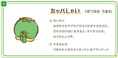 カッパしゃい