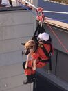 捜索救助犬の訓練