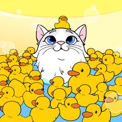 MetaBath NFT Project Team