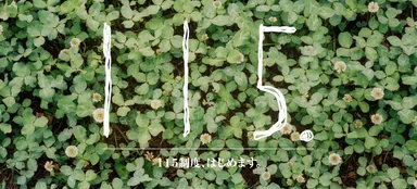 115制度 イメージ