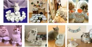 猫壱ハッピーダイニング食器の投稿写真