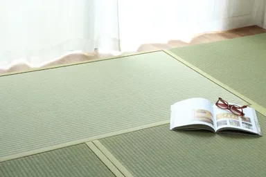 ナノプラチナ畳リラックス画像