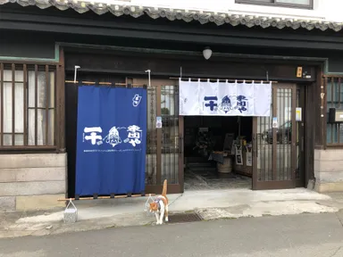 招き猫店長「とらちゃん」(2)
