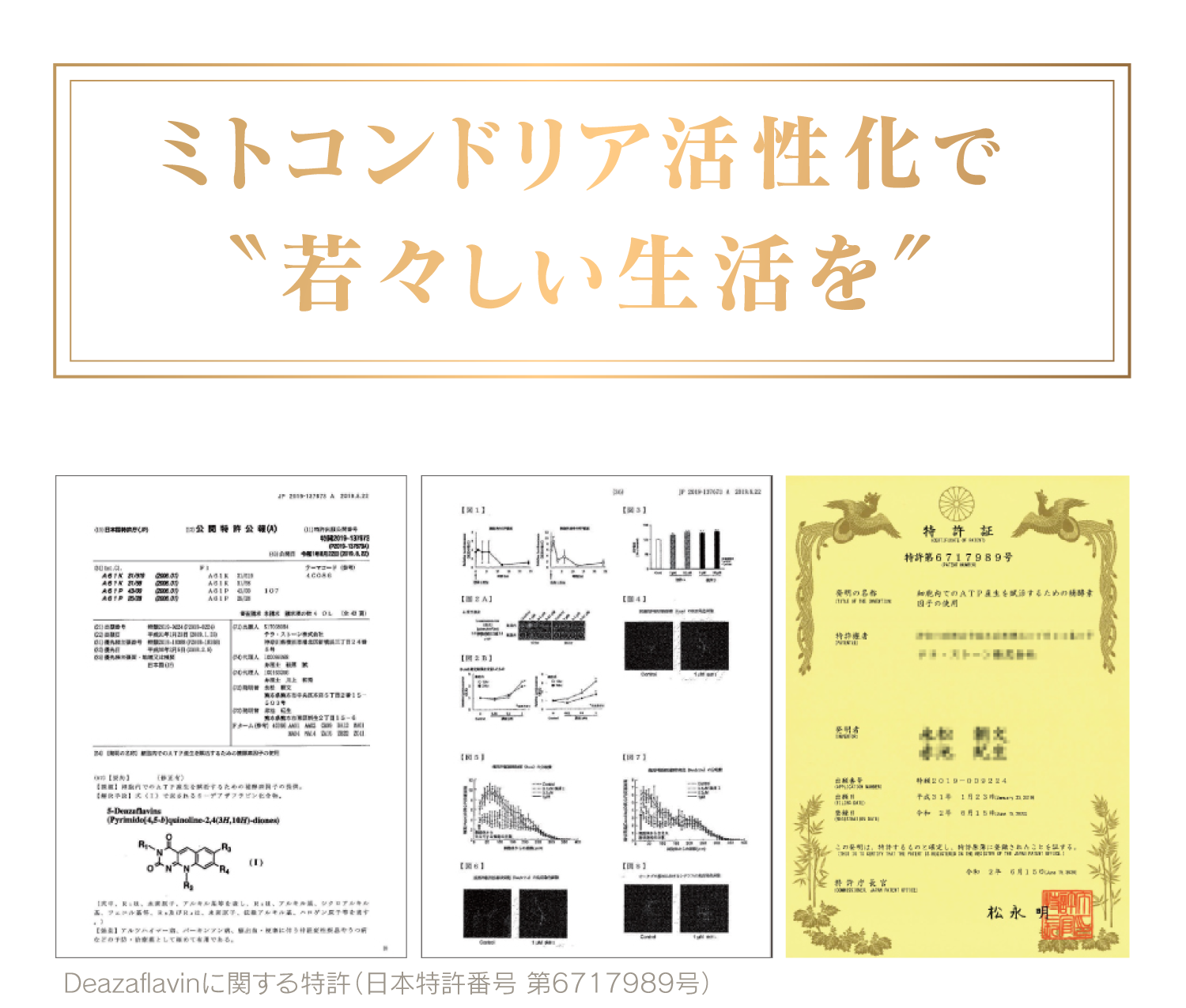 新作超歓迎 デアザフラビン plus 5-ALA 日本製 1粒NMN1200mg相当 特典 ...