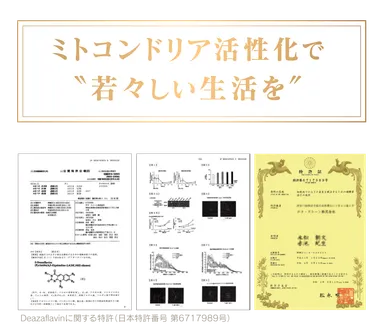 ミトコンドリア活性2