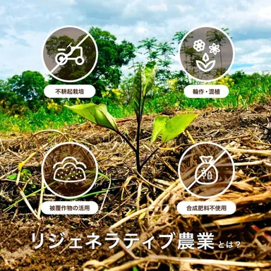 リジェネラティブ農業について