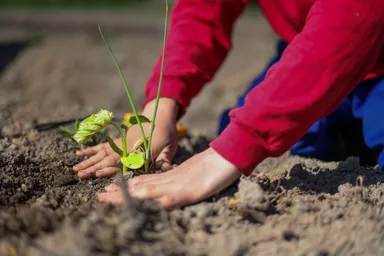 日々の作業風景(1)