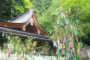 貴船神社(3)