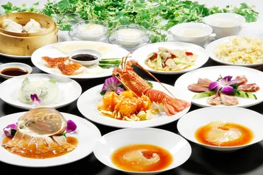 豪華フカヒレ極みコース