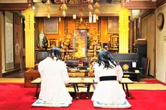 img_313013_7.jpg
