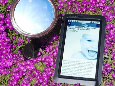 新反射型ディスプレイ