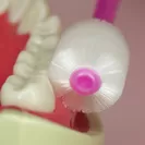 歯と歯ぐきの同時ケア
