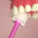 歯の裏側磨き