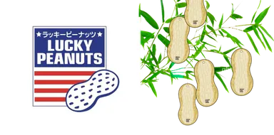 ラッキーピーナッツロゴ・ピーナッツ型の短冊