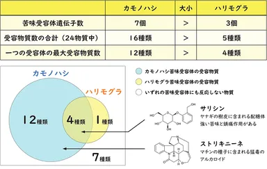 図3.カモノハシとハリモグラの苦味受容体の機能差