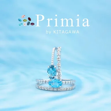 プリミア製作事例4