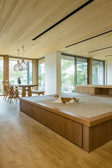 それぞれのお気に入りの場所でくつろぐ愛猫たち