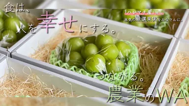 プロジェクト画像