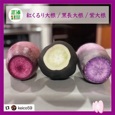 大根3種
