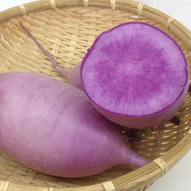 紫大根