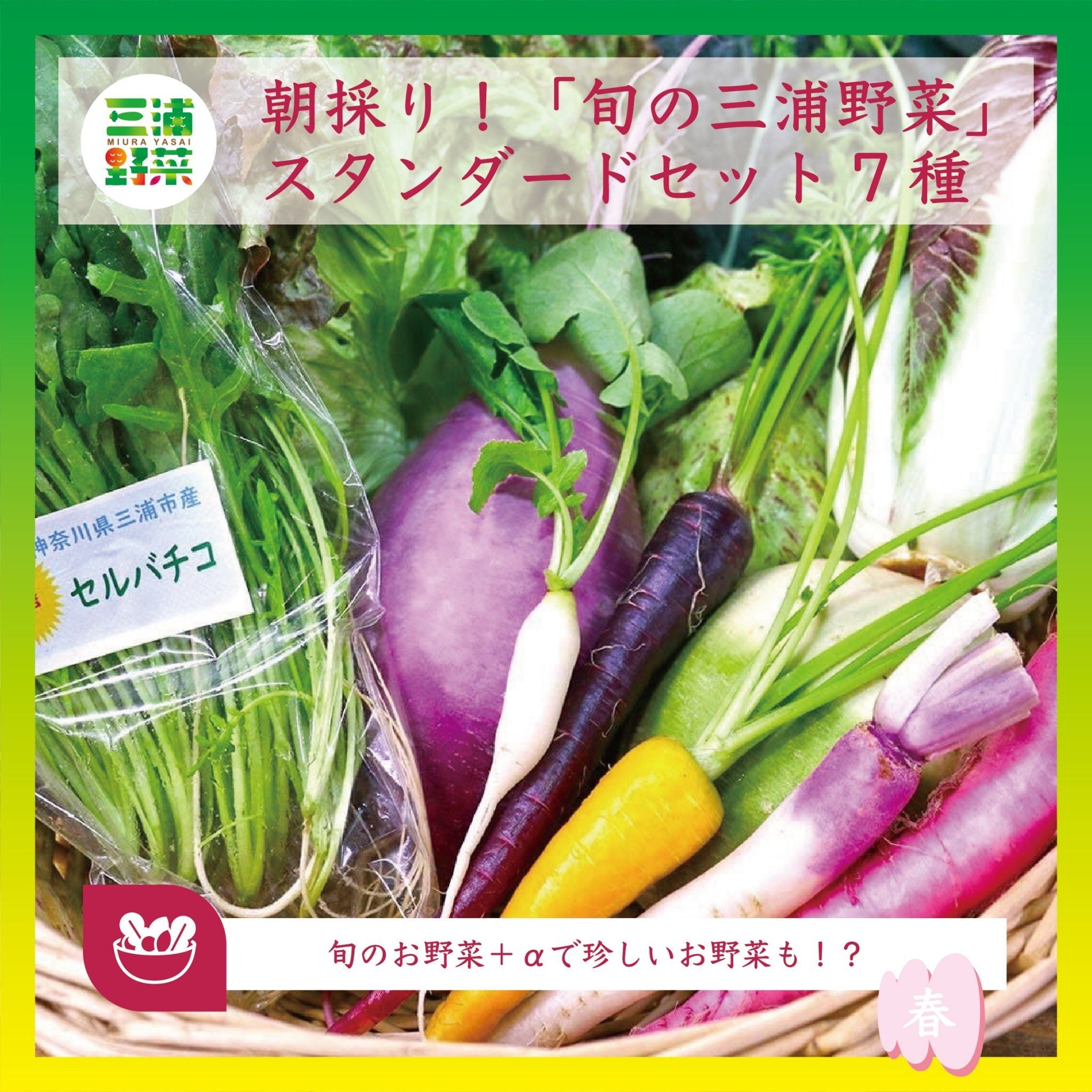 三浦野菜の魅力を全国に知ってもらいたい 6月1日にクラウドファン 
